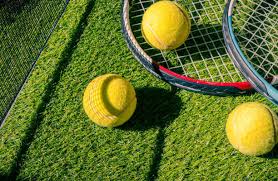Peut-on construire un court de tennis dans une zone humide à Cannes ?
