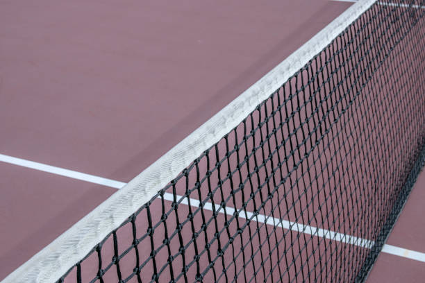 Quels matériaux résistent le mieux à la pollution dans une construction court de tennis à Paris ?