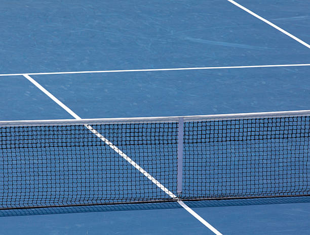 Le gazon synthétique convient-il à une construction court de tennis à Paris ?
